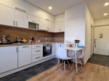 Pronájem bytu 1+1, Česká Třebová, Habrmanova, 38 m2