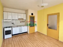 Prodej bytu 1+1, Litvínov - Horní Litvínov, U Zámeckého parku, 35 m2