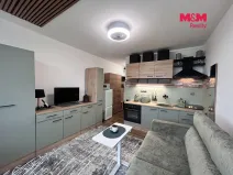 Pronájem bytu 1+kk, Ústí nad Labem - Ústí nad Labem-centrum, Hoření, 21 m2