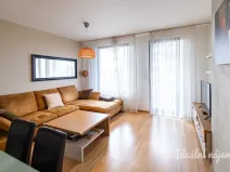 Pronájem bytu 2+kk, Praha - Vysočany, Sousedíkova, 59 m2