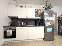Pronájem bytu 1+kk, Kročehlavy, Jaroslava Holečka, 35 m2