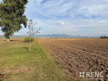 Prodej pozemku pro bydlení, Terezín, 25590 m2