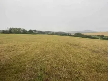 Prodej pole, Rabí - Bojanovice, 22978 m2