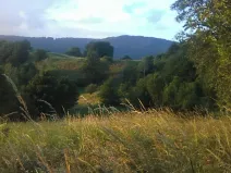 Pronájem louky, Velké Březno, 39851 m2
