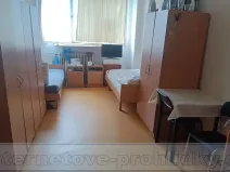 Pronájem ubytování, Zvoleněves, 150 m2
