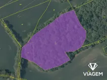 Prodej lesa, Vysoký Újezd, 13707 m2