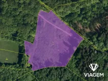 Prodej podílu lesa, Janová, 5802 m2