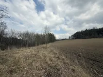 Dražba rodinného domu, Žďárek, 236 m2