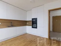 Pronájem bytu 2+kk, Praha - Nusle, Závišova, 54 m2