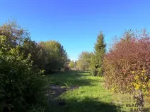 Prodej zahrady, Havířov, Luční, 933 m2
