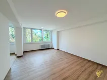 Prodej bytu 2+1, Mladá Boleslav, Purkyňova, 60 m2