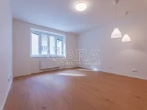 Pronájem bytu 1+kk, Praha - Žižkov, Viklefova, 34 m2