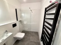Prodej bytu 5+1, Horní Bříza, Na Kaolince, 143 m2