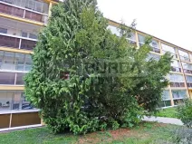 Pronájem bytu 3+1, Neratovice, 68 m2