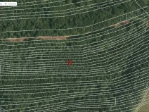 Prodej lesa, Slavičín - Nevšová, 4599 m2