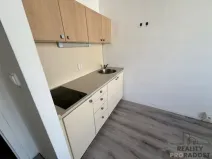 Pronájem bytu 1+kk, Hodonín, Pančava, 17 m2