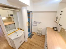 Prodej bytu 1+1, Brno - Staré Brno, Vodní, 24 m2