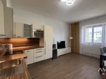 Prodej bytu 3+kk, Brno, Polní, 72 m2