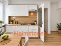 Pronájem bytu 1+kk, Albrechtice, Hornická, 25 m2