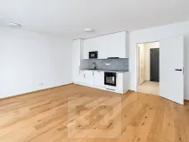 Prodej bytu 1+kk, Praha - Košíře, Starokošířská, 40 m2