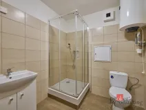 Pronájem bytu 1+kk, Mlékojedy, 43 m2