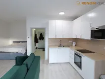 Pronájem bytu 1+kk, Olomouc, Wolkerova, 42 m2