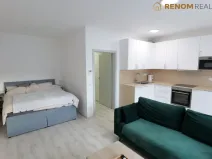 Pronájem bytu 1+kk, Olomouc, Wolkerova, 42 m2