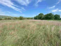 Prodej pozemku, Všenory, 782 m2
