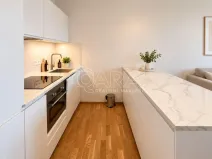 Pronájem bytu 1+kk, Praha - Karlín, Švarcova, 36 m2