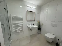 Pronájem bytu 2+kk, Brno - Veveří, Lidická, 55 m2