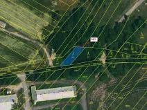 Dražba lesa, Horní Dunajovice, 245 m2