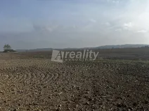 Prodej pozemku pro bydlení, Okříšky, Masarykova, 1004 m2