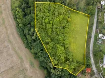 Prodej pozemku pro bydlení, Krhov, 8750 m2