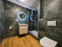 Pronájem bytu 3+kk, Karlovy Vary - Drahovice, Východní, 61 m2
