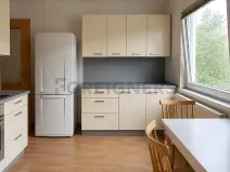 Pronájem bytu 3+1, Praha, Ruská, 109 m2