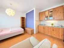 Prodej bytu 1+kk, Praha - Záběhlice, Ve slatinách, 30 m2