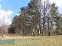 Prodej pozemku, Lužnice, 2131 m2