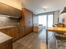 Pronájem bytu 1+kk, Praha - Karlín, Sokolovská, 31 m2