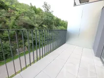 Pronájem bytu 1+kk, Praha - Žižkov, Hartigova, 38 m2
