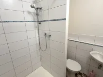 Pronájem bytu 1+kk, Plzeň, Dlouhá, 20 m2