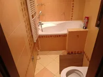Pronájem bytu 3+1, Třemošná, 69 m2
