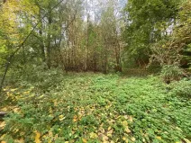 Dražba louky, Svijany, 1003 m2