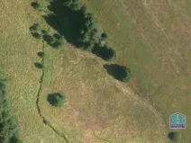 Prodej louky, Lesná - Stará Knížecí Huť, 9771 m2