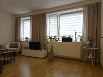Pronájem bytu 1+1, Nový Jičín, K Nemocnici, 47 m2
