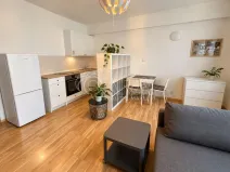Pronájem bytu 1+kk, Praha - Žižkov, Dalimilova, 28 m2