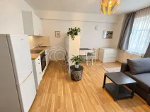 Pronájem bytu 1+kk, Praha - Žižkov, Dalimilova, 28 m2