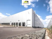 Pronájem výrobních prostor, Hrušky, Polní, 5000 m2