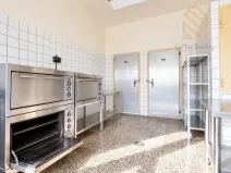 Prodej rodinného domu, Světec, Kostomlatská, 450 m2