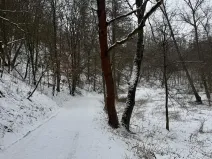 Prodej rybníku, Chotiměř, 6437 m2