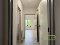 Pronájem bytu 1+kk, Mohelnice, Za Penzionem, 25 m2